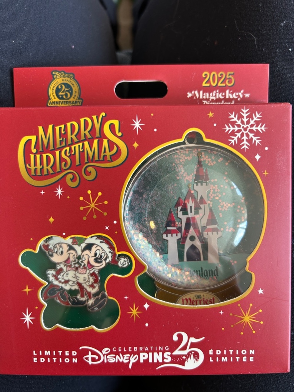 Disney pin trading Disneyland ornament and pin set NWT